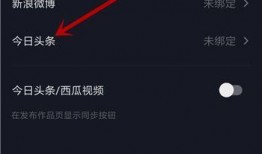 今日头条咋爆料抖音号呢,如何轻松爆料抖音号